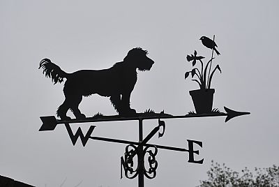 Schnauzer weathervane